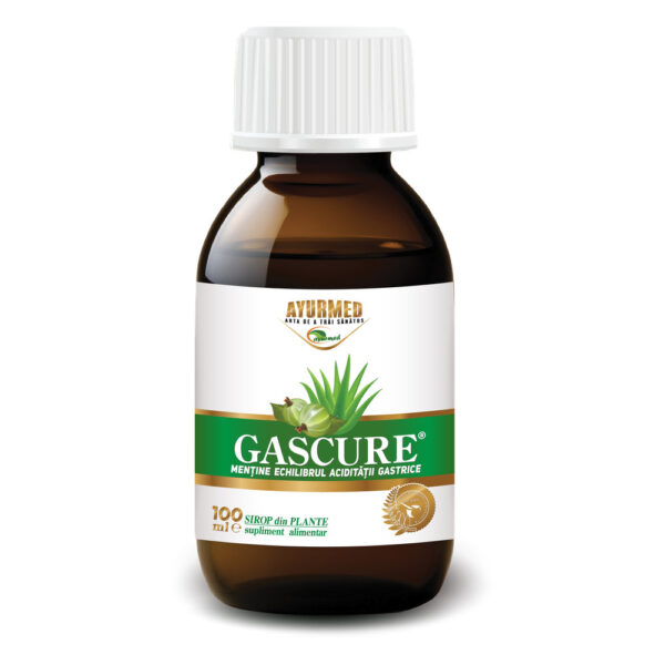 Gascure Sirop - Flacon 100ml sirop